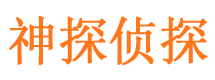 玄武侦探公司